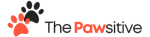 Nouveau projet (4)